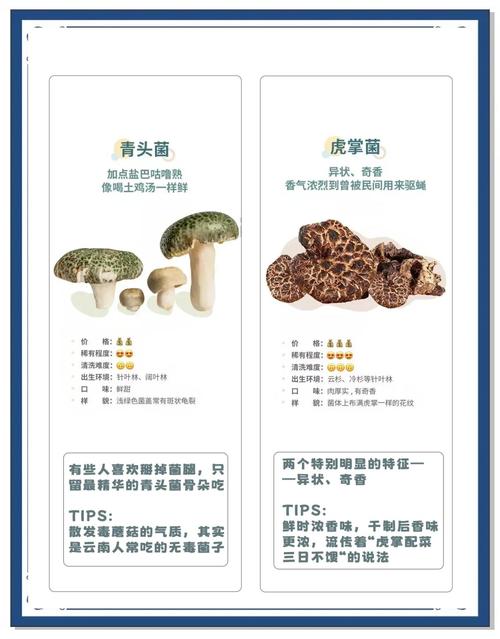 在我们云南，“张飞”“关羽”是美味的野生菌