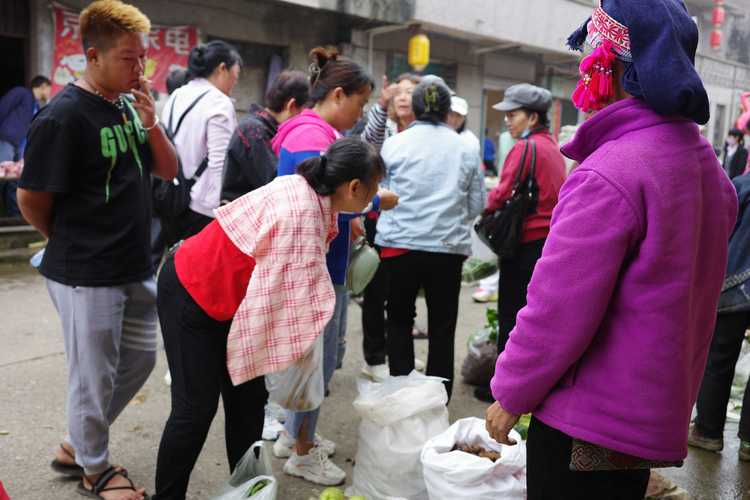 走进元江羊岔街,探访古朴神秘的南溪老林