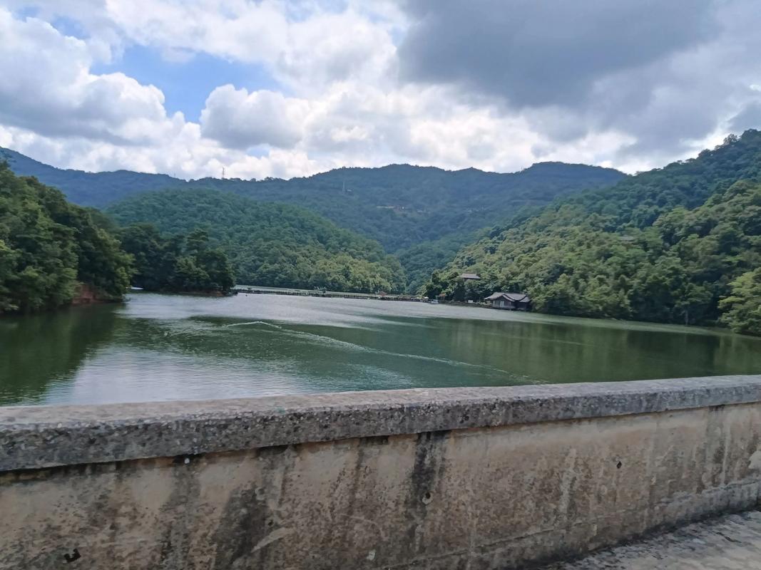 普洱 五湖湿地美如画