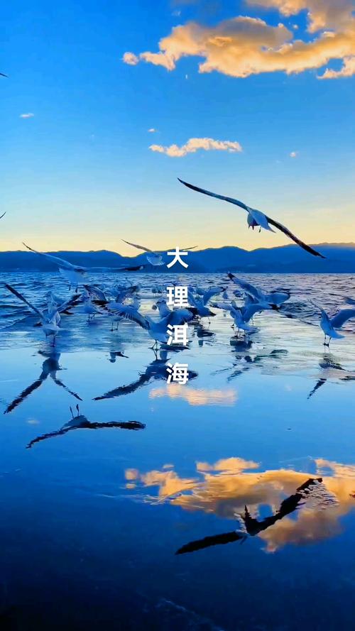 来云南看海吧!——细数云南那些壮观的云海!
